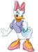 Daisy.jpg