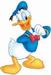 Donald Duck.jpg